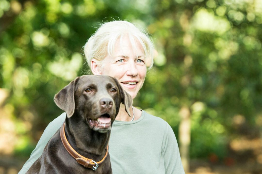 Kehrtwende Hundeschule Magdeburg Die Ausbildung für Hunde